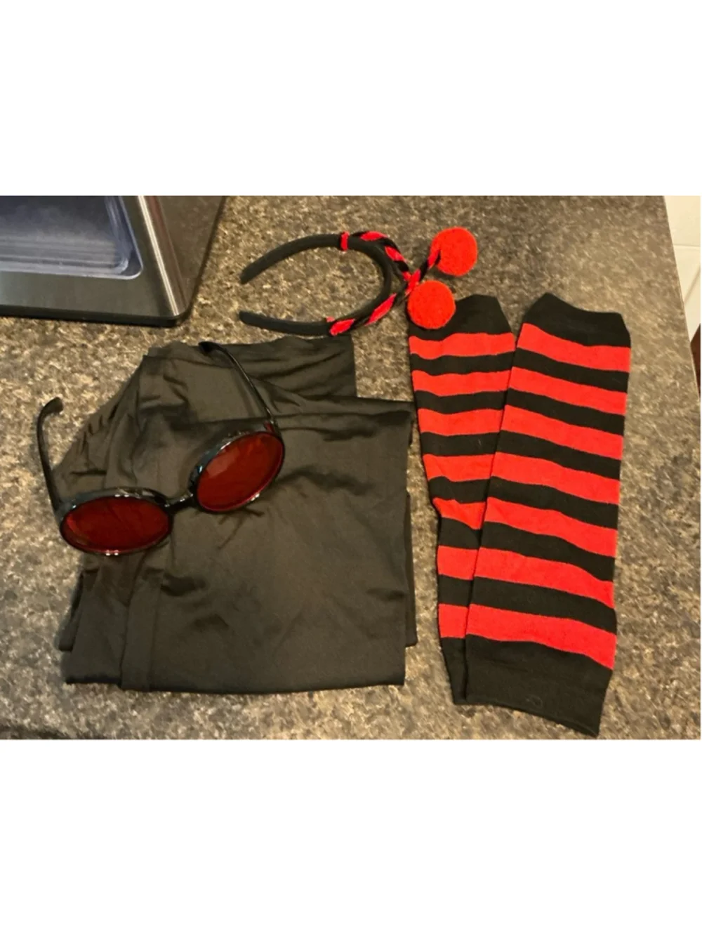New 5 Piece Lady Bug Adult Costume